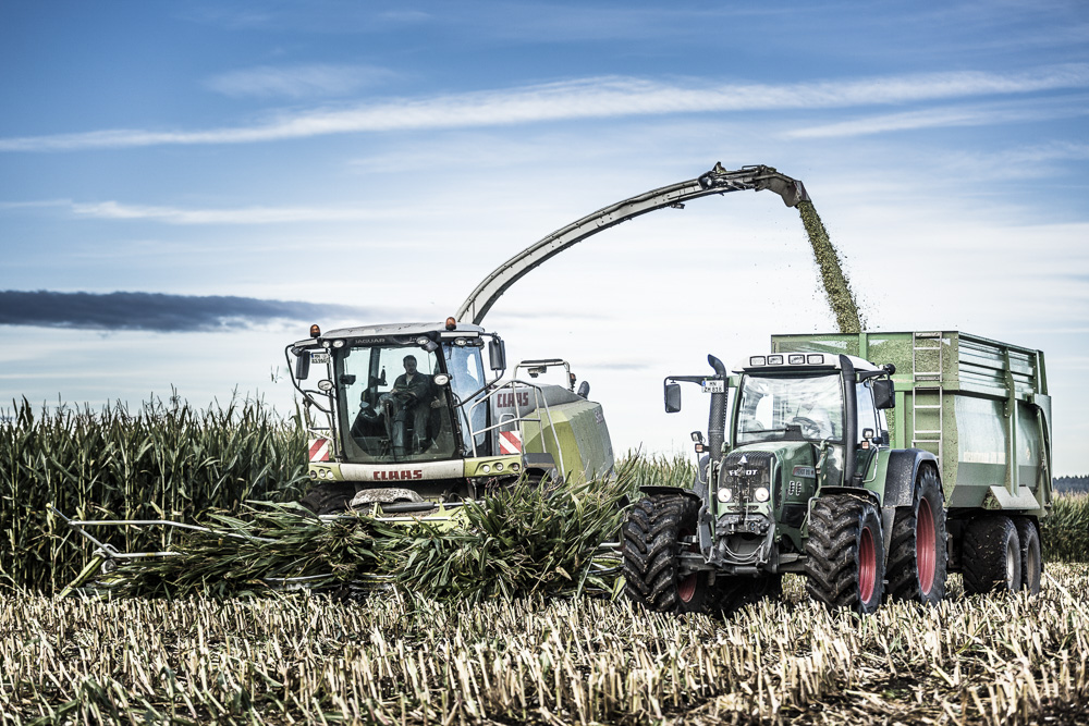 6. Platz Daniel Kreher